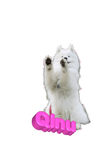 Dog Applause Sticker
