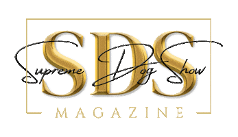 Magazine Bestinshow Sticker by carobibiloni