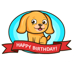 Happy Birthday Party GIF by MyMorningDog