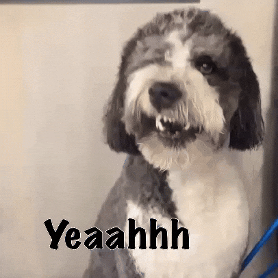 Yes GIF