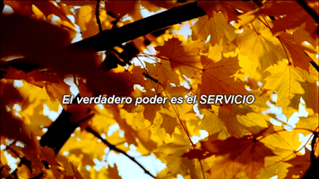 corrientescatolica  GIF
