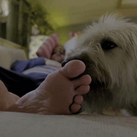 Lick Toes GIFs - Get the best GIF on GIPHY