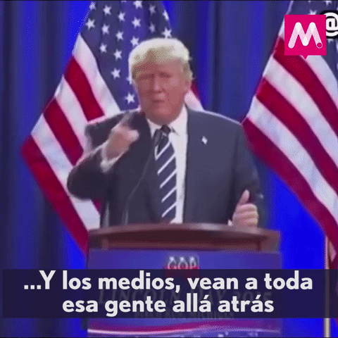 memorycuiz trump GIF