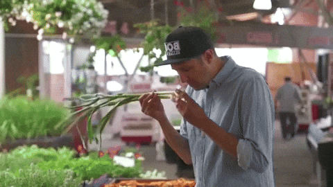 Green Onions Montreal GIF by Bob aux Halles - Find & Share on GIPHY