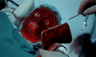 200.gif
