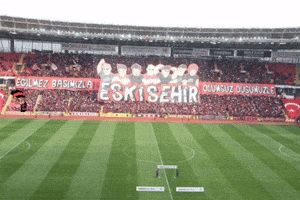 Fun GIF