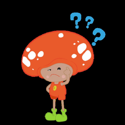 Mushroom What GIF by Mash&Co