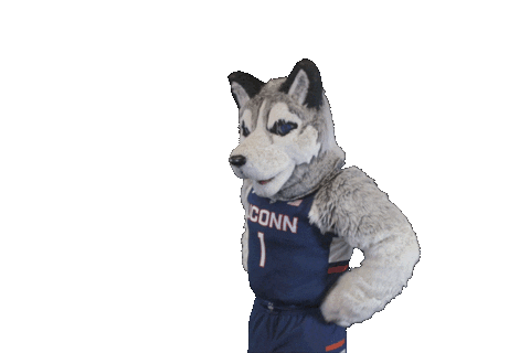 Look Point Sticker by UConn Huskies for iOS & Android | GIPHY