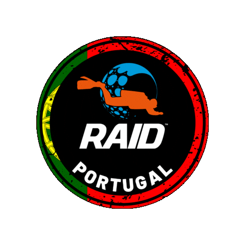 Raid Sticker by DiveRAID