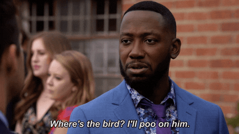 Winston GIF por New Girl