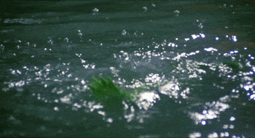 200.gif