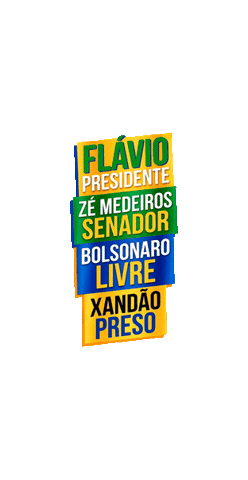 Mato Grosso Sticker by Zé Medeiros