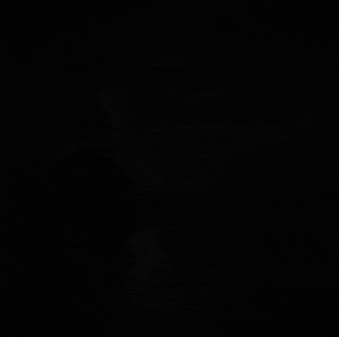 Sun Sunset GIF