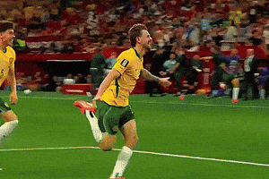 World Cup Football GIF