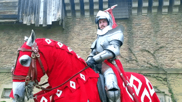 Horse Hush GIF