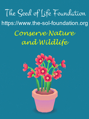 Conserve Climate Change GIF by The Seed of Life Foundation