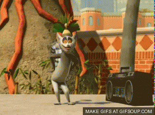 Madagascar GIF - Find & Share on GIPHY