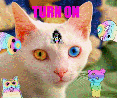 timothy leary cat GIF by chuber channel