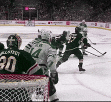 Dallas Stars Hockey GIF