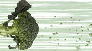 Broccoli GIF by yasuifarm
