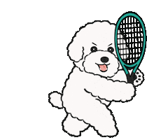 Dttennis Sticker by DT