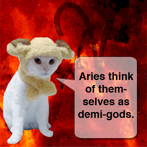cats in space aries GIF