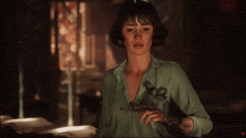 Video Games Cats GIF