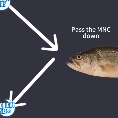 Mnc GIF