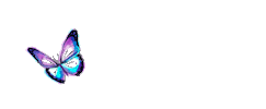 Kitchen Sticker by Butterfly India