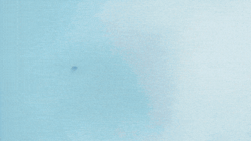 Party Flowers GIF by TIMOCOM