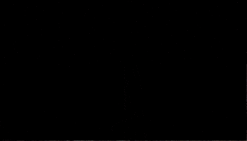 Red Sea Travel GIF
