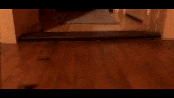 The Berkshires Indie GIF by Mad Factory FIlms