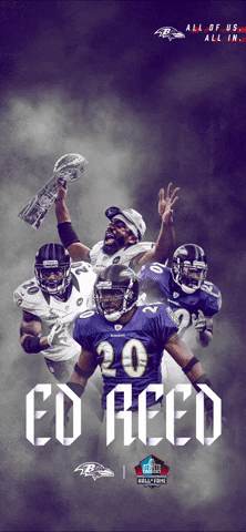 Baltimore Ravens iPhone Wallpaper HD