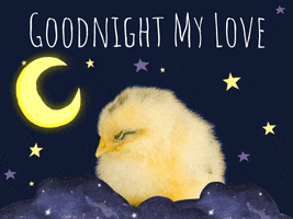 Video gif. A live action baby chick sits in front of an illustrated dark blue background with stars and a crescent moon. Instances of the letter "Z" above its head tell us it's sleeping. Text, "Goodnight my love."