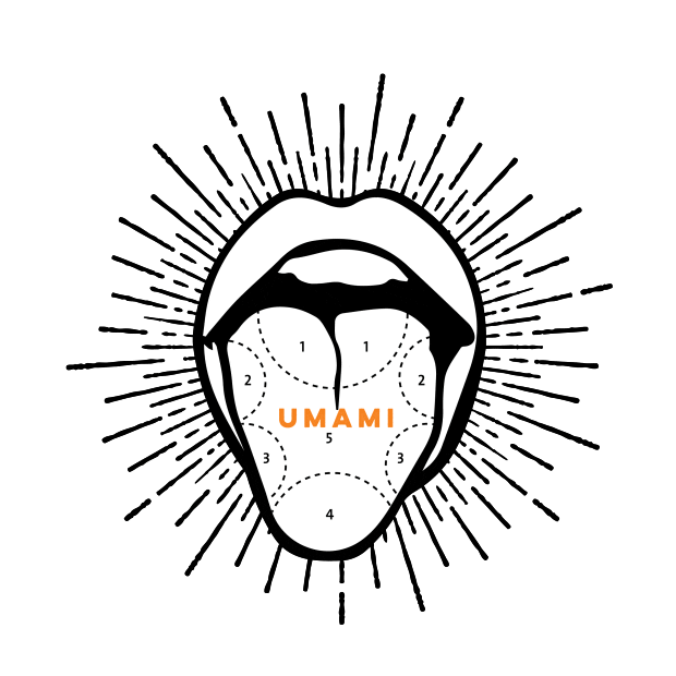 Burger Umami Sticker