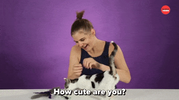 You Are Cute International Cat Day GIF by BuzzFeed