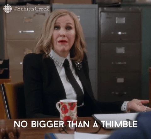 schitts creek comedy GIF by CBC