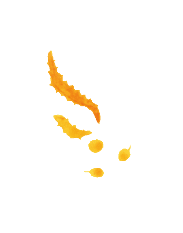 Soy Beans Sticker