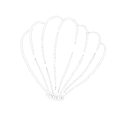 Shell Muschel Sticker