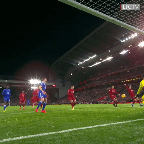 save alisson becker GIF by Liverpool FC