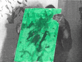 Sound And Vision Monkey GIF by Beeld en Geluid