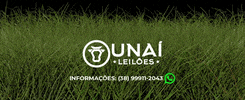 Tag Unai GIF by Unaí Leilões