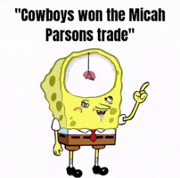 Green Bay Packers GIF