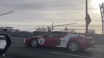 Racexotics GIF