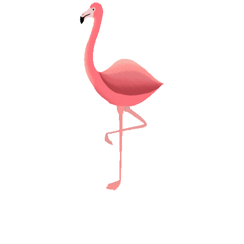 Animated Sticker