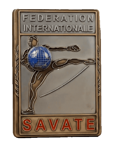 France Fr Sticker by kibaroglusportgym