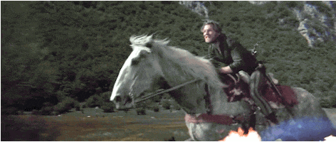 fire horse GIF