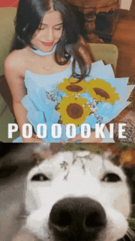 Meme GIF