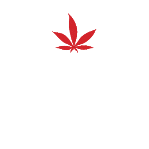 Cannabis Hemp Sticker by Pella Biocannabis Farm