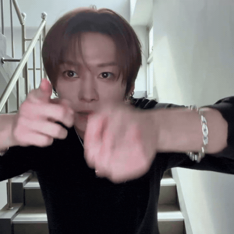 Stray Kids GIF